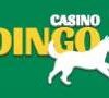 Dingo Casino