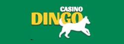 Dingo Casino